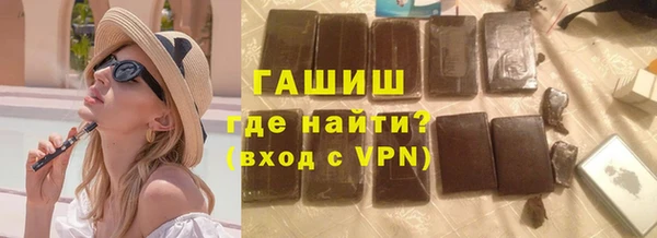 сатива Ельня