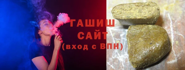 сатива Ельня