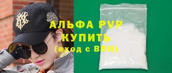 сатива Ельня