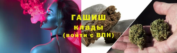 сатива Ельня