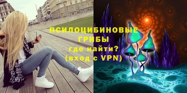 сатива Ельня
