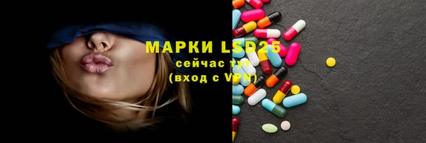 сатива Ельня