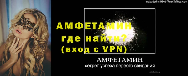сатива Ельня