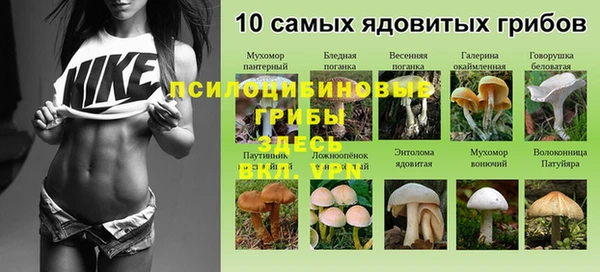трава Елизово