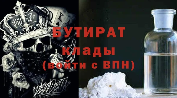 сатива Ельня