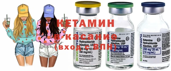 сатива Ельня