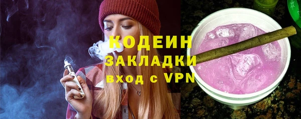 сатива Ельня