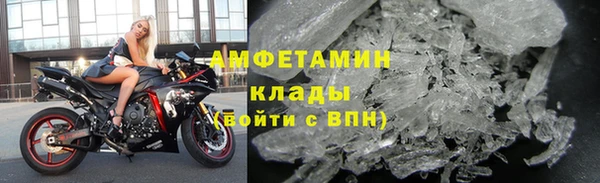сатива Ельня