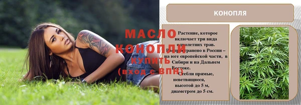 сатива Ельня